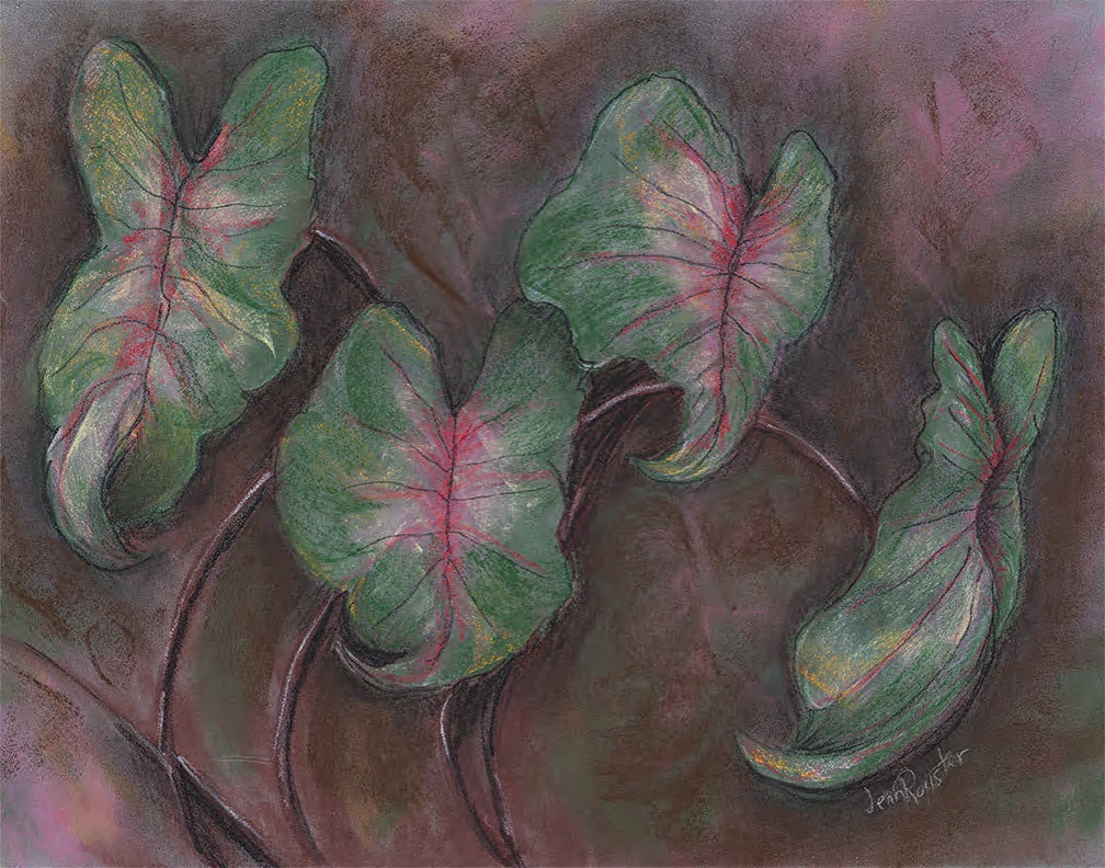 Giclee Print Caladiums in the Breeze